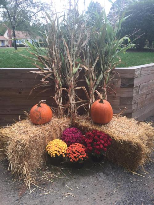 Fall decoration items mums & pumpkins